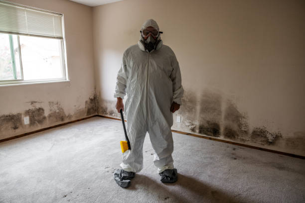 Best Toxic Mold Removal  in Middle Valley, TN